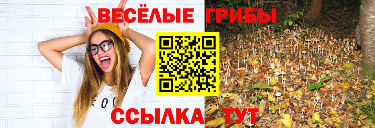 Псилоцибиновые грибы Cubensis Нижний Новгород